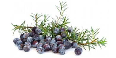 Juniper de Uromexil Forte